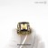 1998 Michigan Wolverines Big Ten Championship Ring (Silver/Premium)